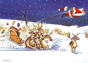 pere-noel-accident-de-traineau