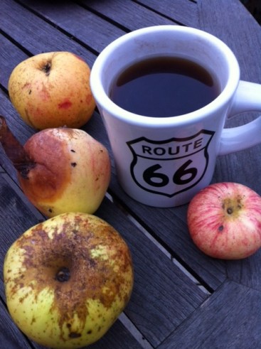 Paris 24 novembre 2011