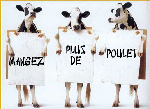 Ensemble, les français sont un peuple auquel rien ne peut résiter, c'est Mongénéral qui l'a dit, non ? ...