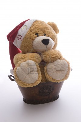 6368330-ours-en-peluche-noel-geant-assis-dans-une-casserole (Credits : 123 RF)