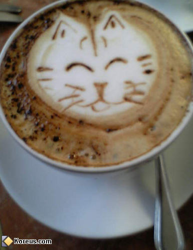 Cat Coffee