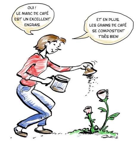 vosplantesboiventcafe3