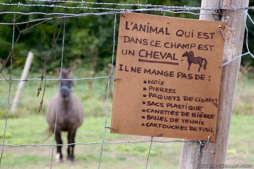 058 Crédits : www.boreally.org