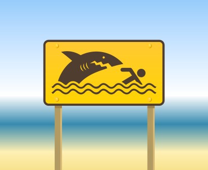 panneau-attention-requin