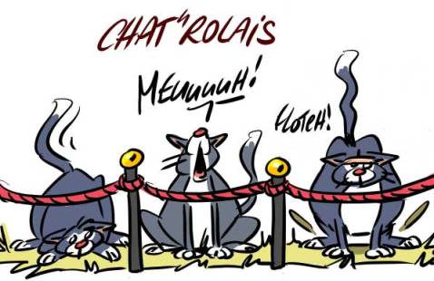 Salon-de-l'agriculture Crédits : Trait Portrait - Christian Arnould