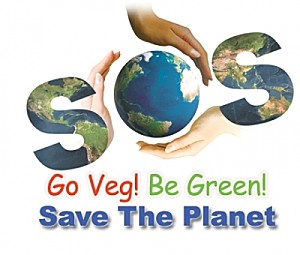 vegetarisme-grand-geste-planete-petits-gestes-quotidien-pla