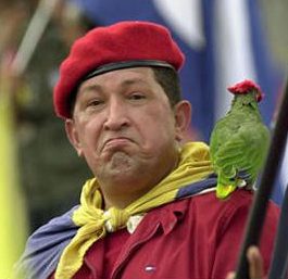 hugo_chavez_parrot1