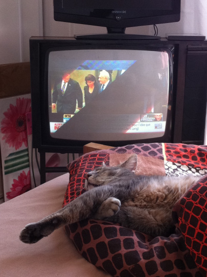 chabada-2011-21-renaud-favier