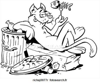 chat-felin-ruelle_~richaj0077r