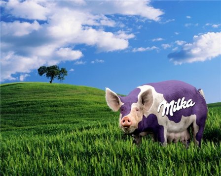 cochon-milka