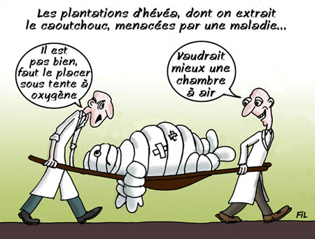 dyn005_original_450_342_pjpeg_2513474_f4e9dd3c99f141b3c9a1b79ddfcdb5d4