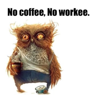 funny-pictures-no-coffee-no-workee