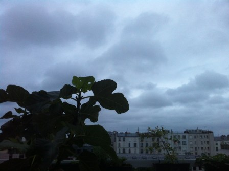 Paris 24 Juin 2013 c Renaud Favier