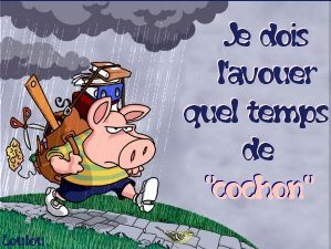 temps-de-cochon