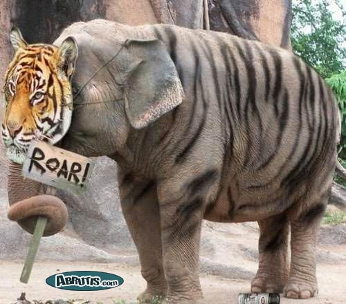 6157af6c1ca7e53e14f35f35df560d3dfull