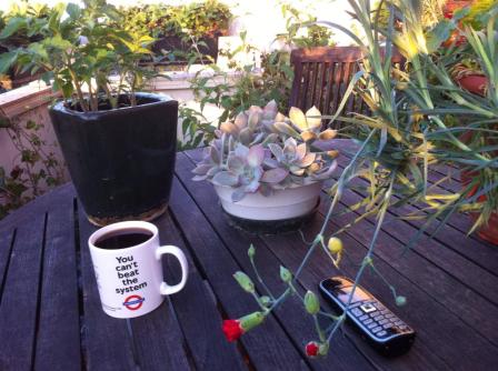 Café du Matin a Paris 8 juillet 2013 c Renaud Favier