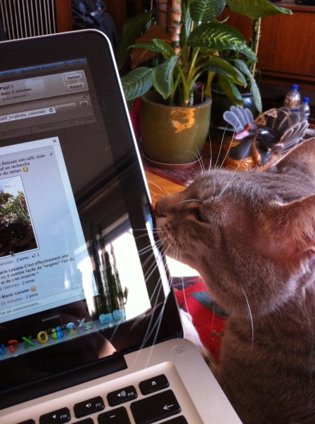 Chabada 2 Paris 8 juillet 2013 c Renaud Favier