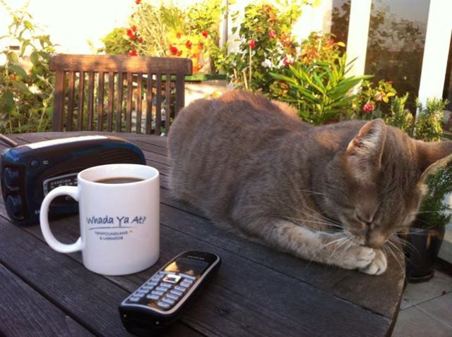 Chabada Paris 9 juillet 2013 c Renaud Favier