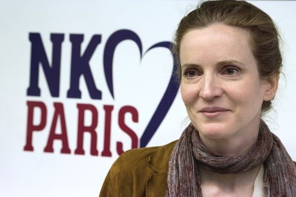 "Votez pour moi, je ne suis pas UMP !"