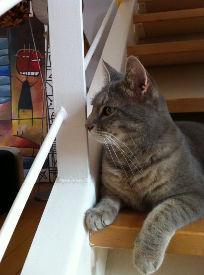 Chabada 7 septembre 2 c Renaud Favier