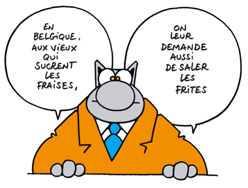 chat Geluck