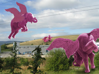 elephant-rose-steph-500x375