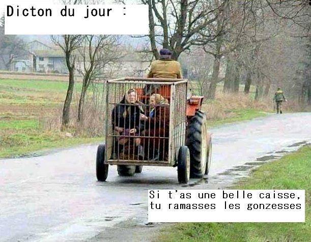 988714_491615410945927_1183648819_n