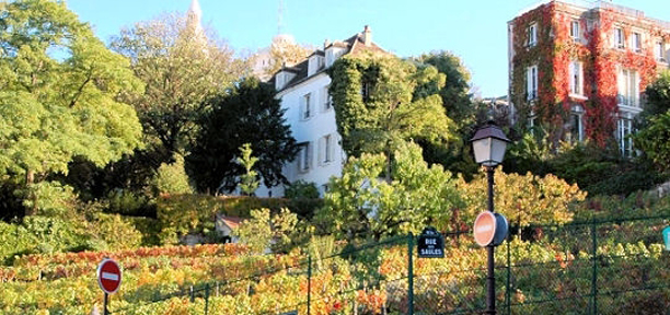 fetes-des-vendanges-montmartre-paris