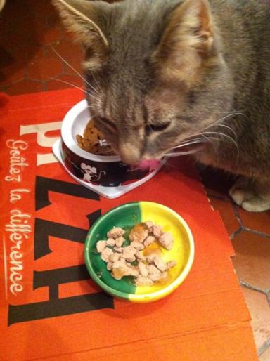 Chabada Octobre 2013