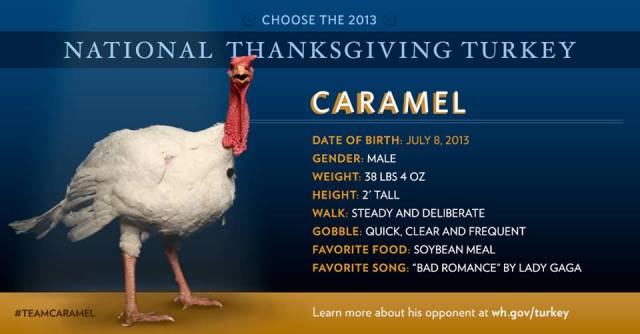 A Very Gaga ThanksGiving