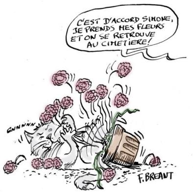 chat-fleurs-copie