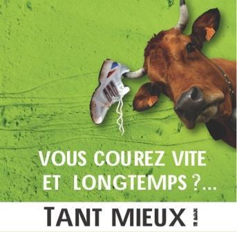 humour-vache