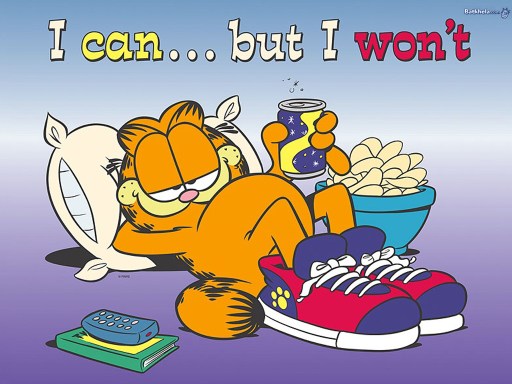 i-can-but-i-won-t--garfield