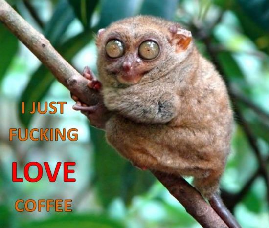 i-just-fucking-love-coffee