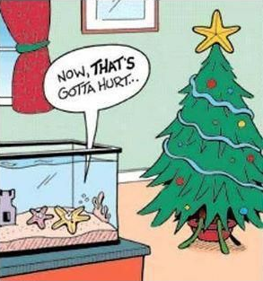 Xmas may be a pain ...