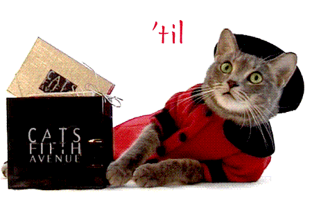 cats-fifth-avenue