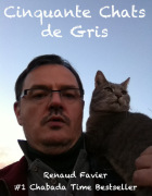cinquante-chats-de-gris-octobre-2012-renaud-favier2