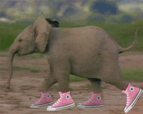 Elephant Pink PS