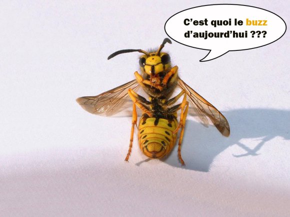 buzz-humour