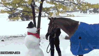 Cheval Carotte Bonhomme de Neige