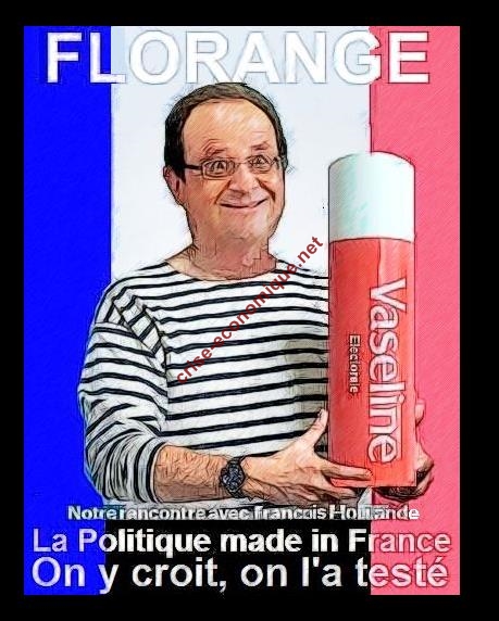 Hollande-Florange-retour-humour
