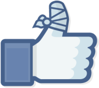 Net Land Art Page Facebook