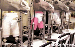 the-year-of-horse-gif Happy New Year 2014