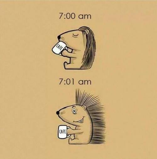 It's Always Coffe Time - C'est toujours le moment d'un café 