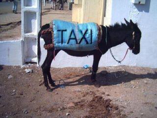 Taxi
