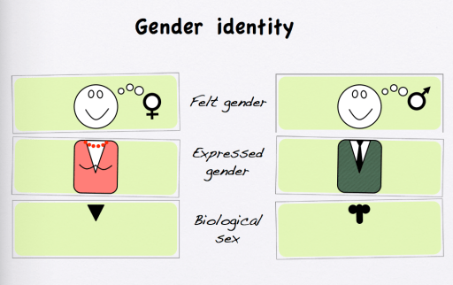 Gender Theory