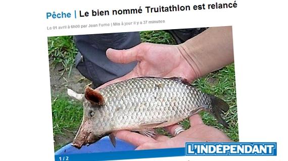 Poisson d'avril 1er Avril Joke Blague Humour