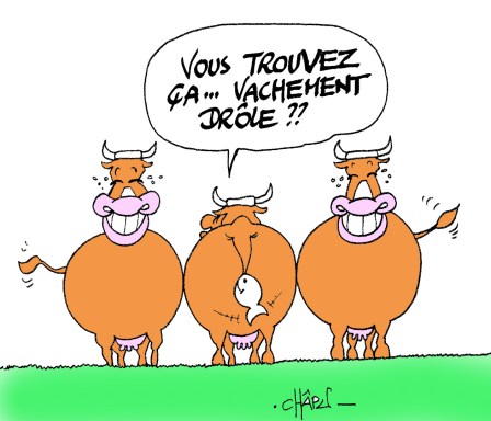Humour Vache Poisson d'avril 1er Avril Joke Blague Humour