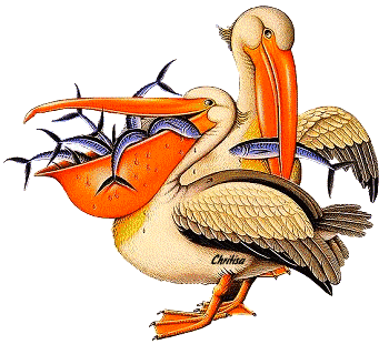 Poisson d'avril 1er Avril Joke Blague Humour