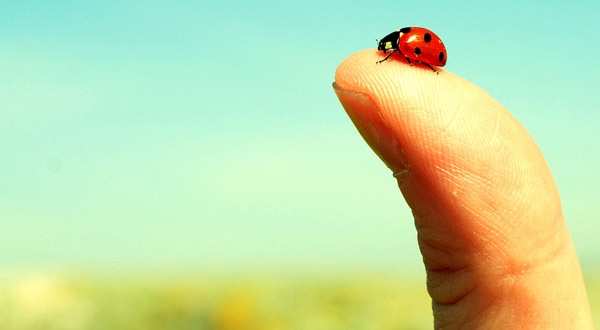 pouce coccinelle Humour Paris Printemps
